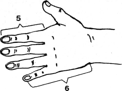  Рабочие поверхности кисти руки, используемые при массаже